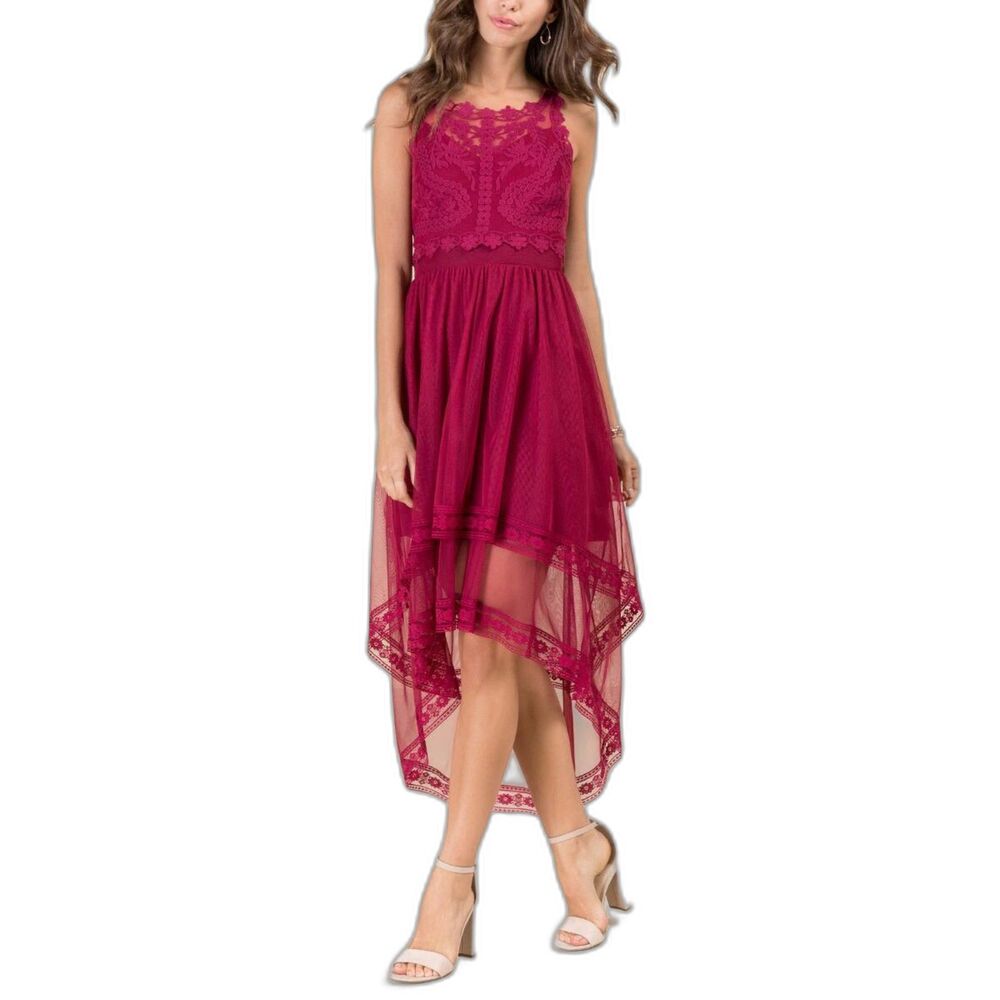 2/$40 Francesca's Boutique High Low Raspberry Red Sleeveless Lace Fairy Dress